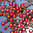 1000 rhinestones hotfix s06 color N°202 AB red 2,1mm