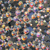 1000 rhinestones hotfix s06 color N°201 AB crystal 2,1mm