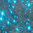 1000 rhinestones hotfix s06 color N°107 peacock blue 2,1mm