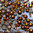 1000 rhinestones hotfix s06 color N°116 brown 2,1mm