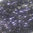 1000 rhinestones hotfix s06 color N°1117 violet 2,1mm