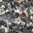 100 Strass s20 hotfix 4,8 mm n°AB 201 cristal iridescent