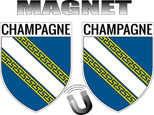 CHAMPAGNE MAGNETE x 2
