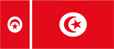 TUNISIE 4X flag adhesive vinyl stickers
