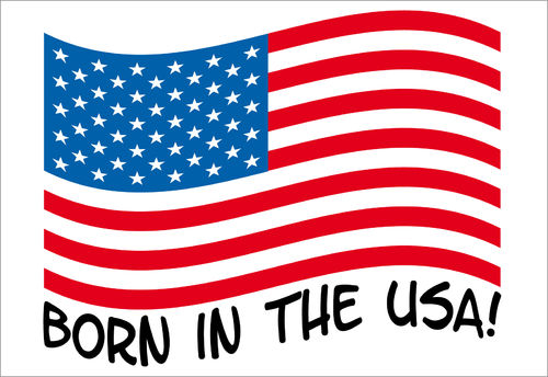 BORN IN THE USA STICKER  x 2